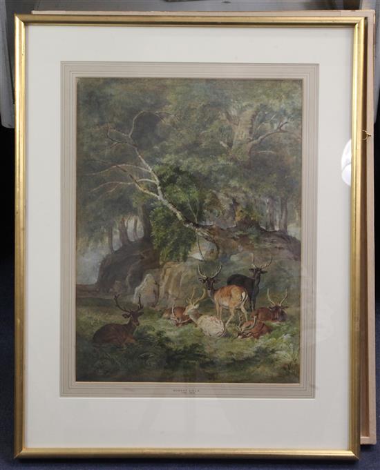 Attributed Robert Hills (1769-1844) Deer in Windsor Park 17.5 x 13in.